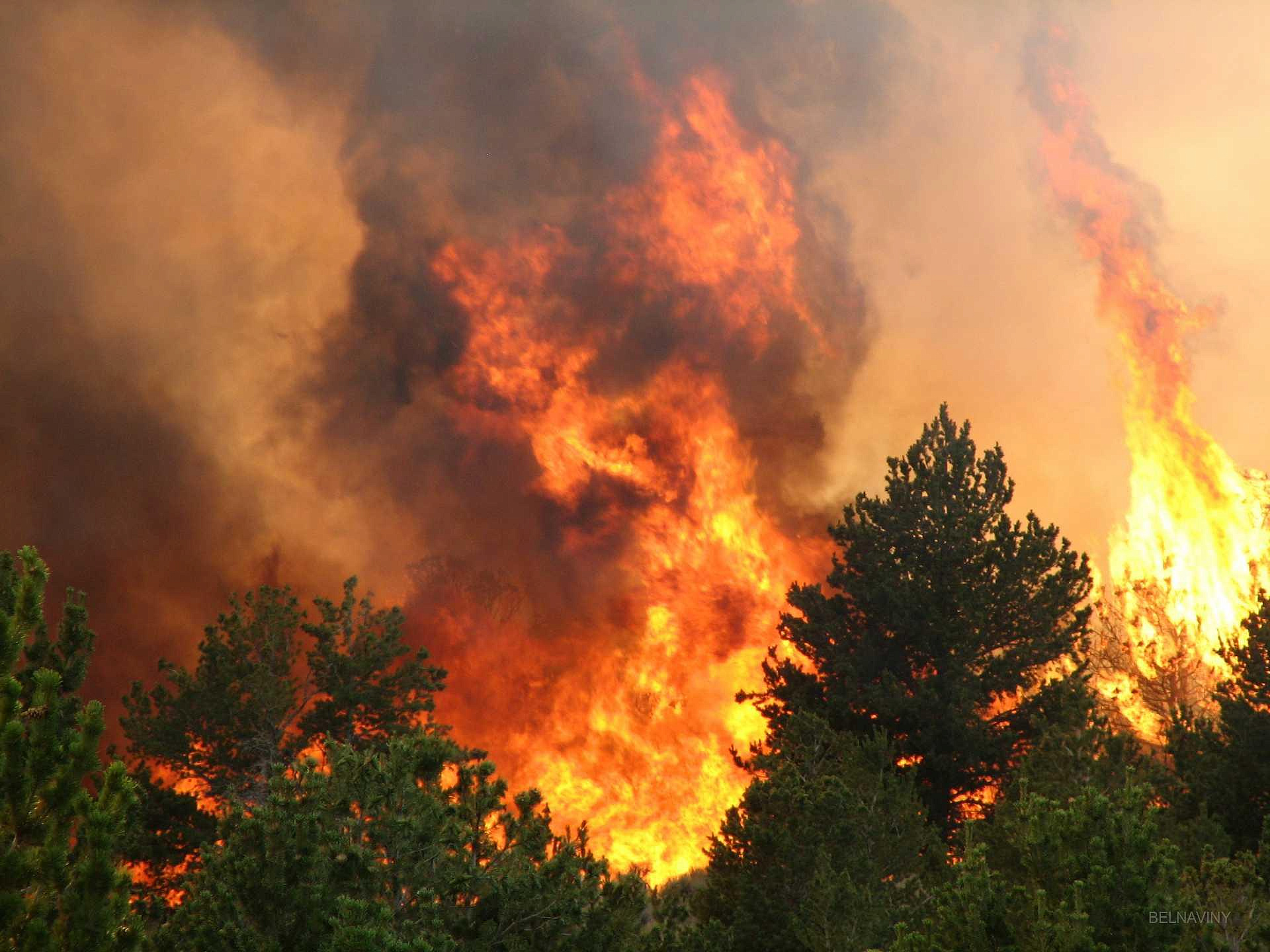 В Калифорнии пожар уже вышел из-под контроля