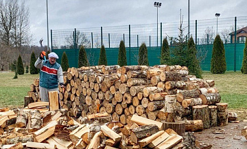 Александр Лукашенко пообещал выделить Европе дров