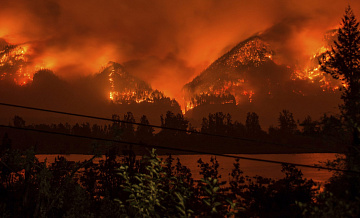 Пожар в США признали самым разрушительным в Калифорнии