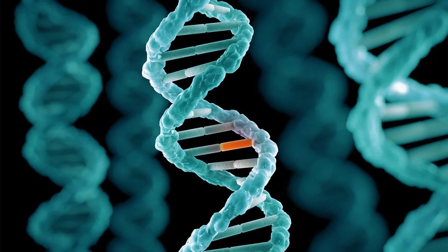 Изменение генома клетки. Мутагены ДНК. Мутагенез генетика. Ген col5a1. Гены и мутагены.