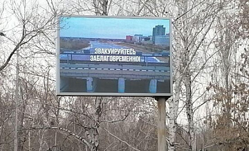 Около 50 собак привезли в приют Кургана из подтопленных территорий
