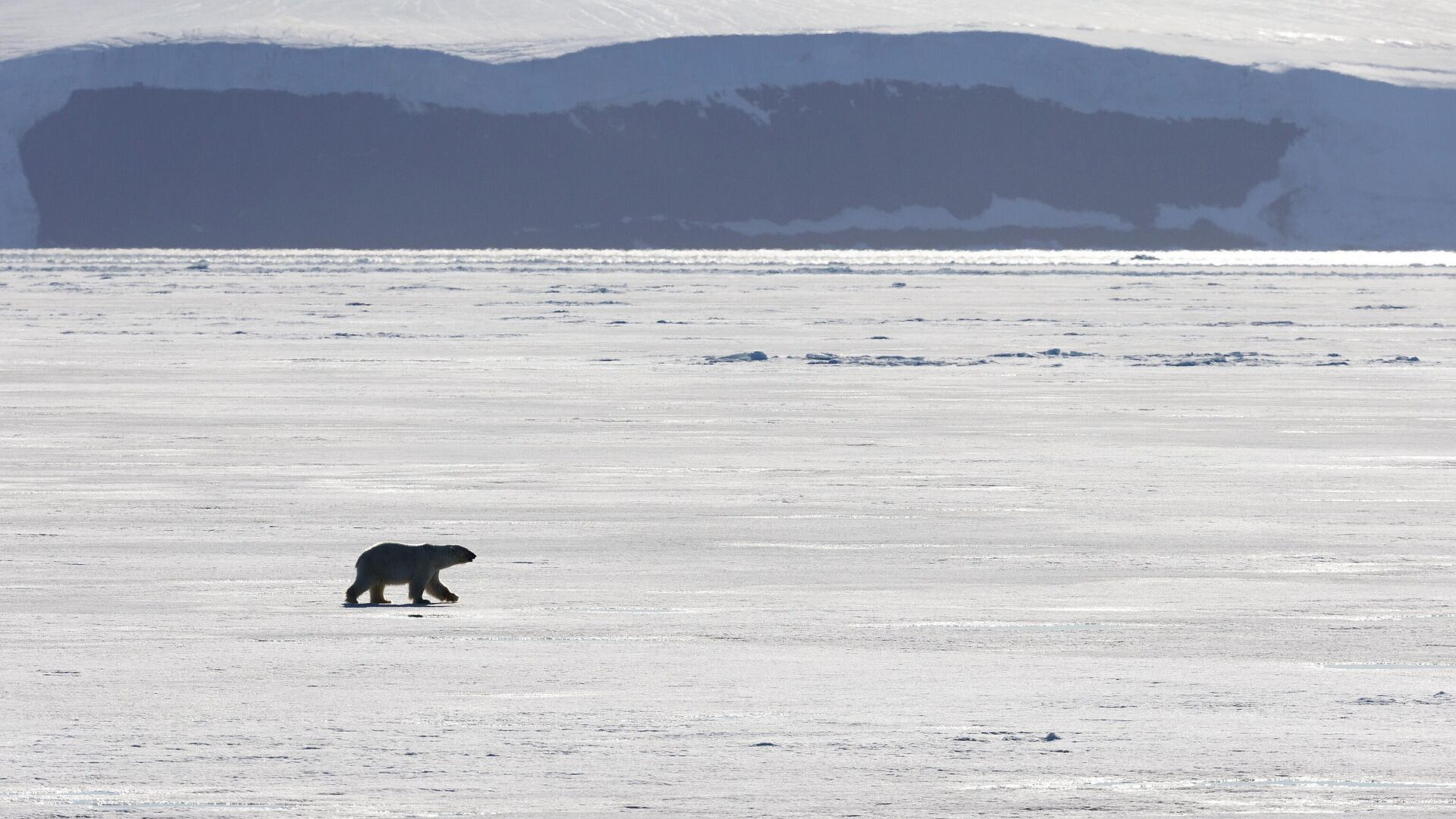 ����������� ����������� ��������� ������ � ���������� ��������, ����� FT