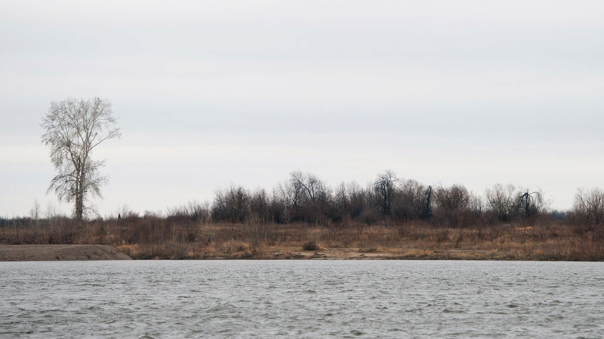 ������� ���� � ���� ���� ������� �� ����� ��������