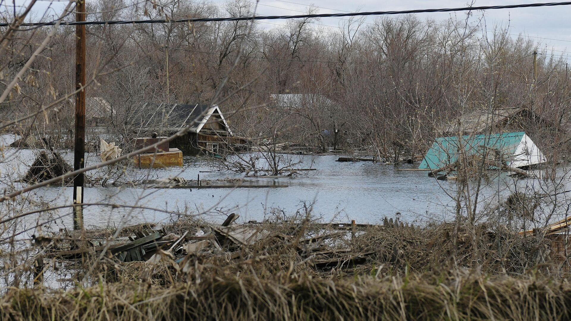 ������� ���� ���� � �������� ������������ ����� �������� �� 22 ����������