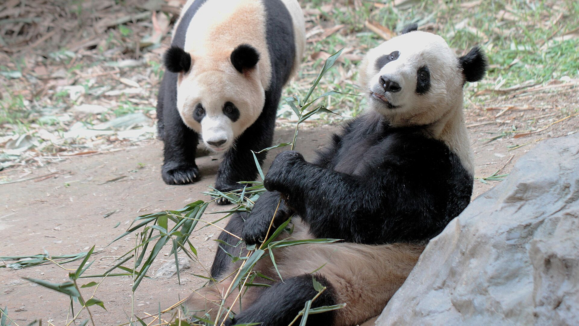 ����� �������� � ��������� ���� ���������� ���� ������� �� 24 ����