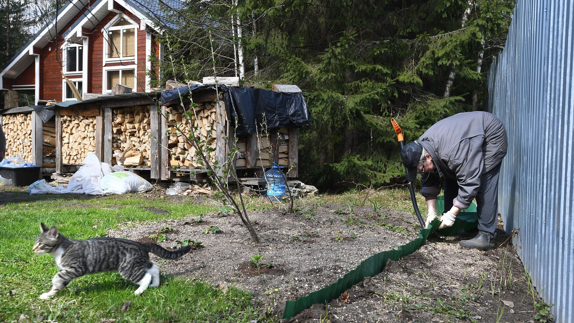 ������� ��������� �������� ����� �� ������ ������� �� ����� �����