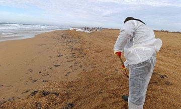 Мишустин отметил важность скорейшей очистки побережья от мазута