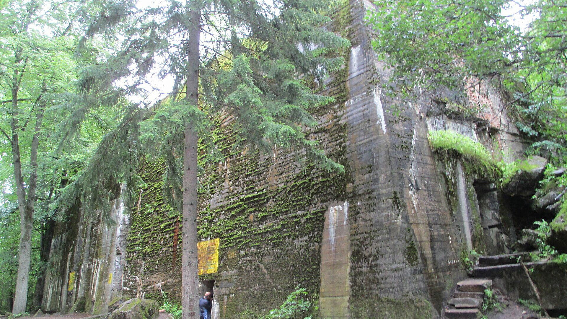 � ������� ������ ������� ������� �������� �������