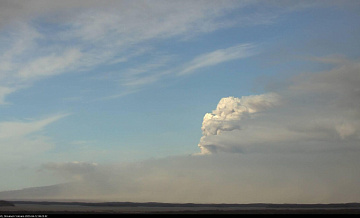 Ветер протянул шлейф пепла на камчатском вулкане Шивелуч