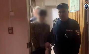 Четвертый ребенок матери, зарубившей троих детей, был свидетелем убийства