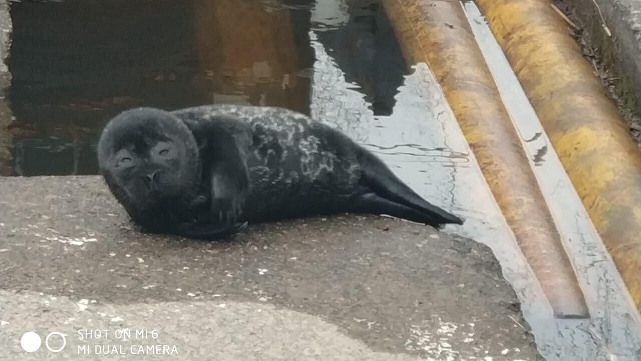 � ��������� ����� ��������� ���� ���� ����� ������������