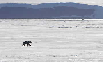 В Якутии рассказали, когда может появиться беспилотный дирижабль