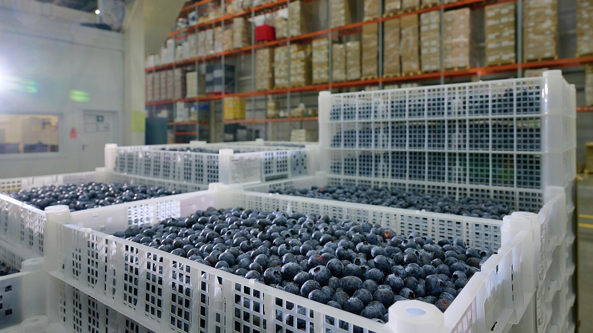 Гарбузов: столичные компании нарастили выпуск постных продуктов