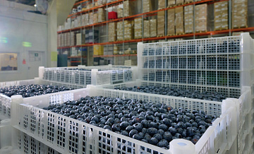 Гарбузов: столичные компании нарастили выпуск постных продуктов