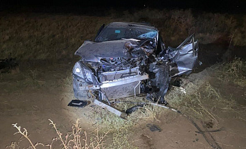 Пятерых детей госпитализировали после ДТП в Волгоградской области