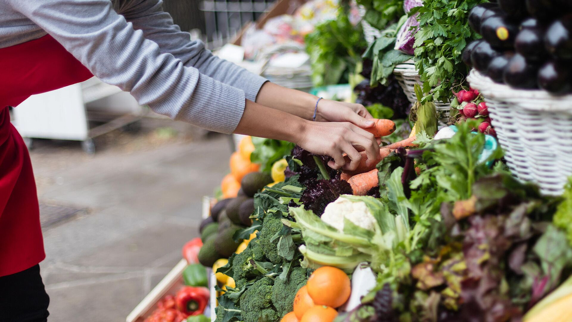 ������ ����� ����� � ������ ������� ����������� �������������� � ����