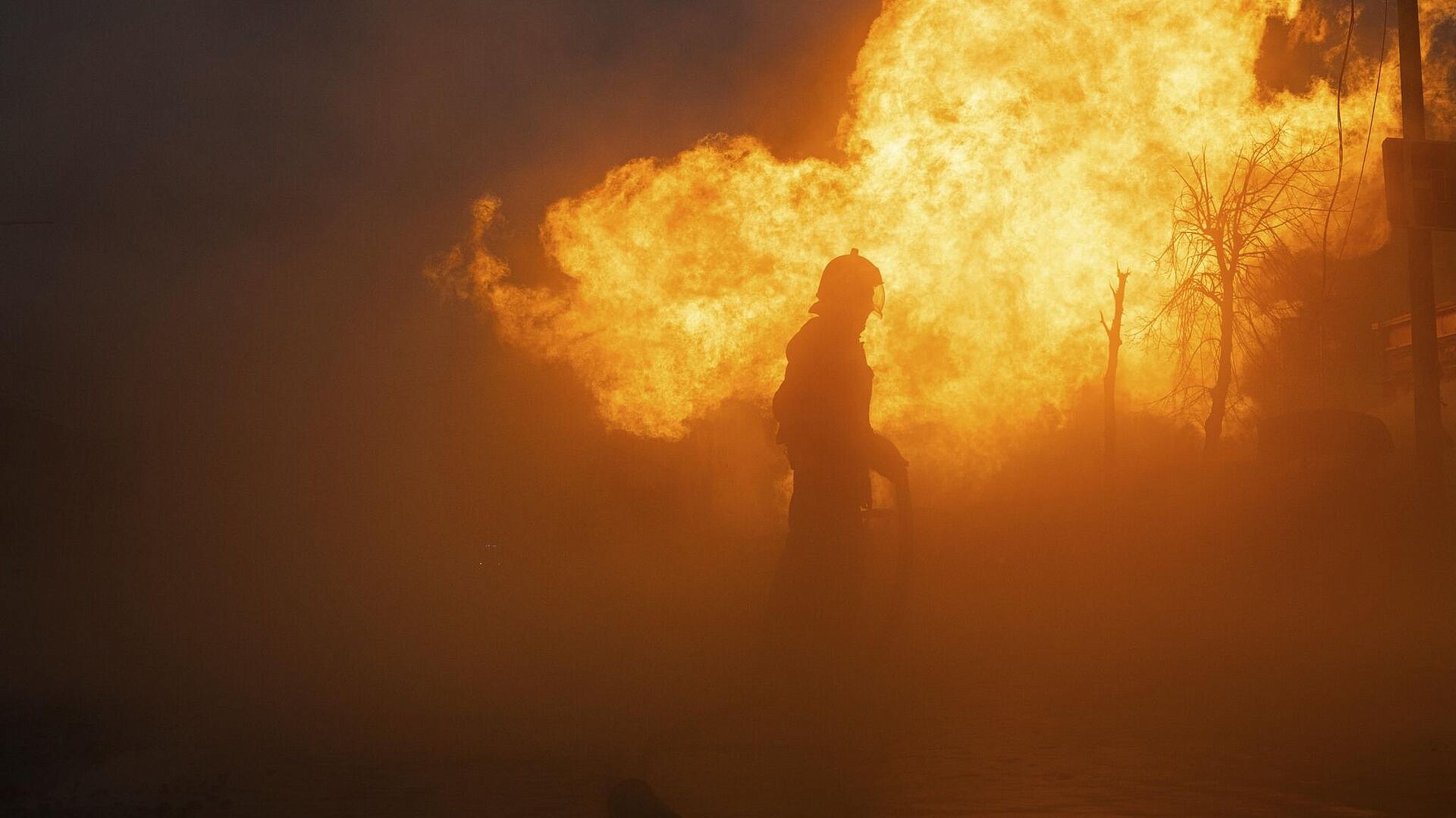 "�������� ����". ����� ��������, ��� ���������� � �����