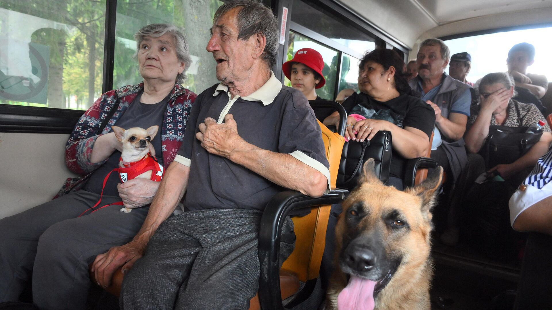 За медпомощью после обстрела обратились 213 жителей Курской области