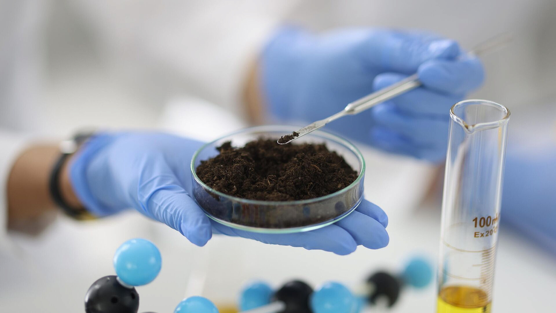 ������ ��������, ��� ����������� ������ ��������� ���������� ����������