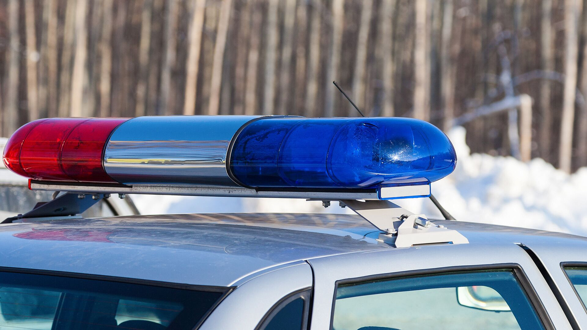 � ������������ �������� � ������ ��������, �������� ������� �� ��������