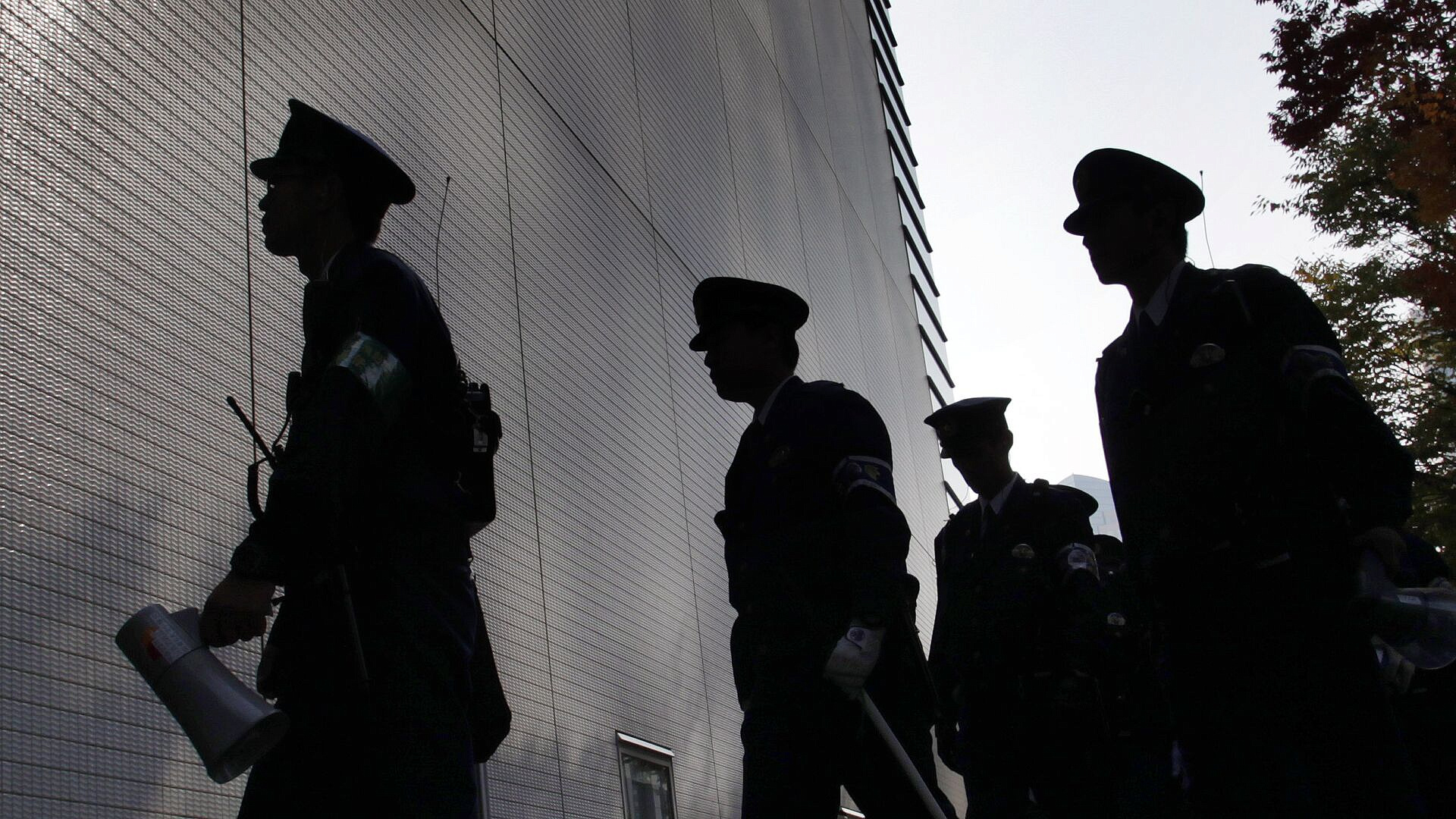 � ������ ������������� �������� ����������� � �������������