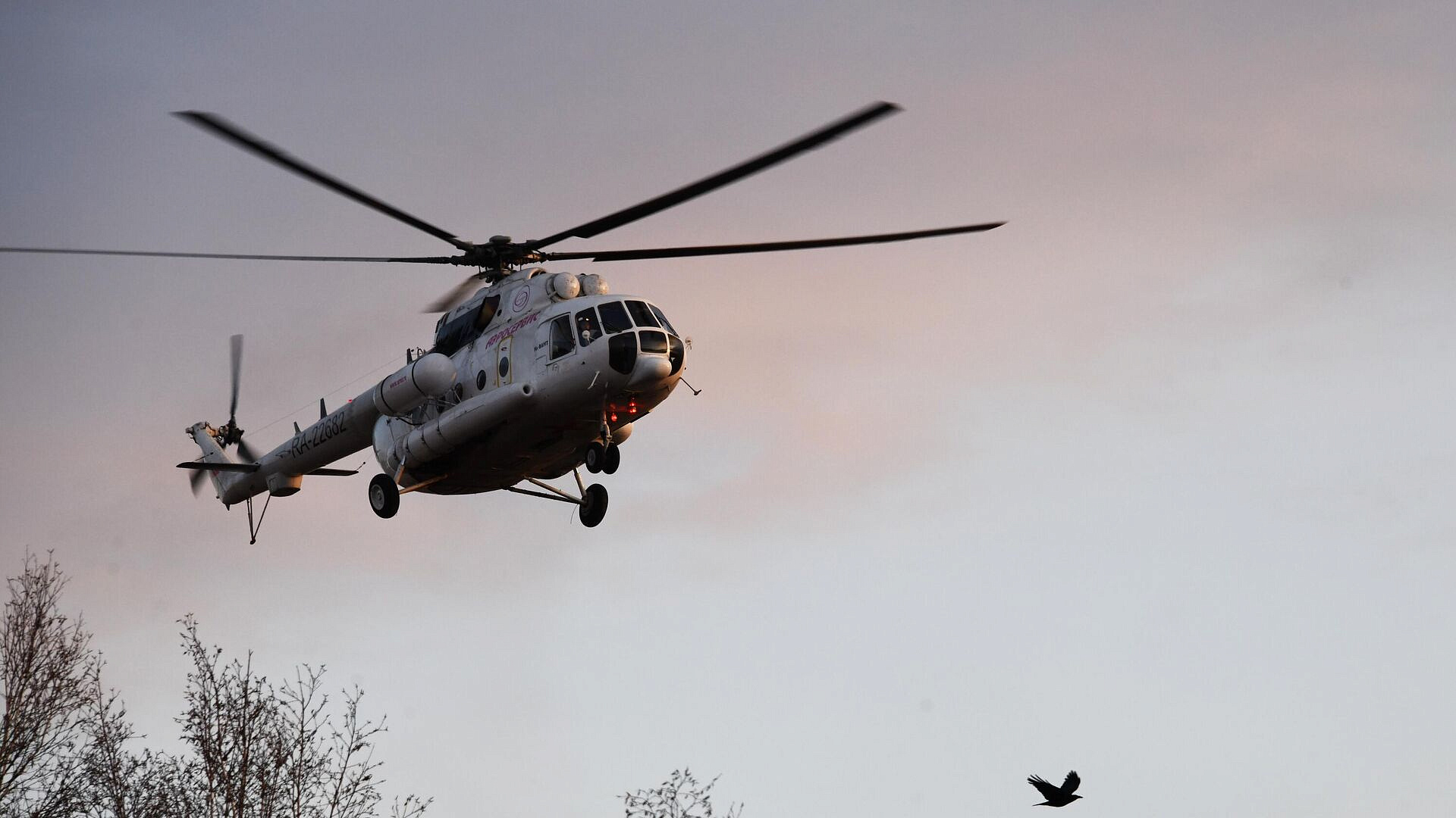 ����� 900 ������� ��������� ���������� ����������� � ������ ����