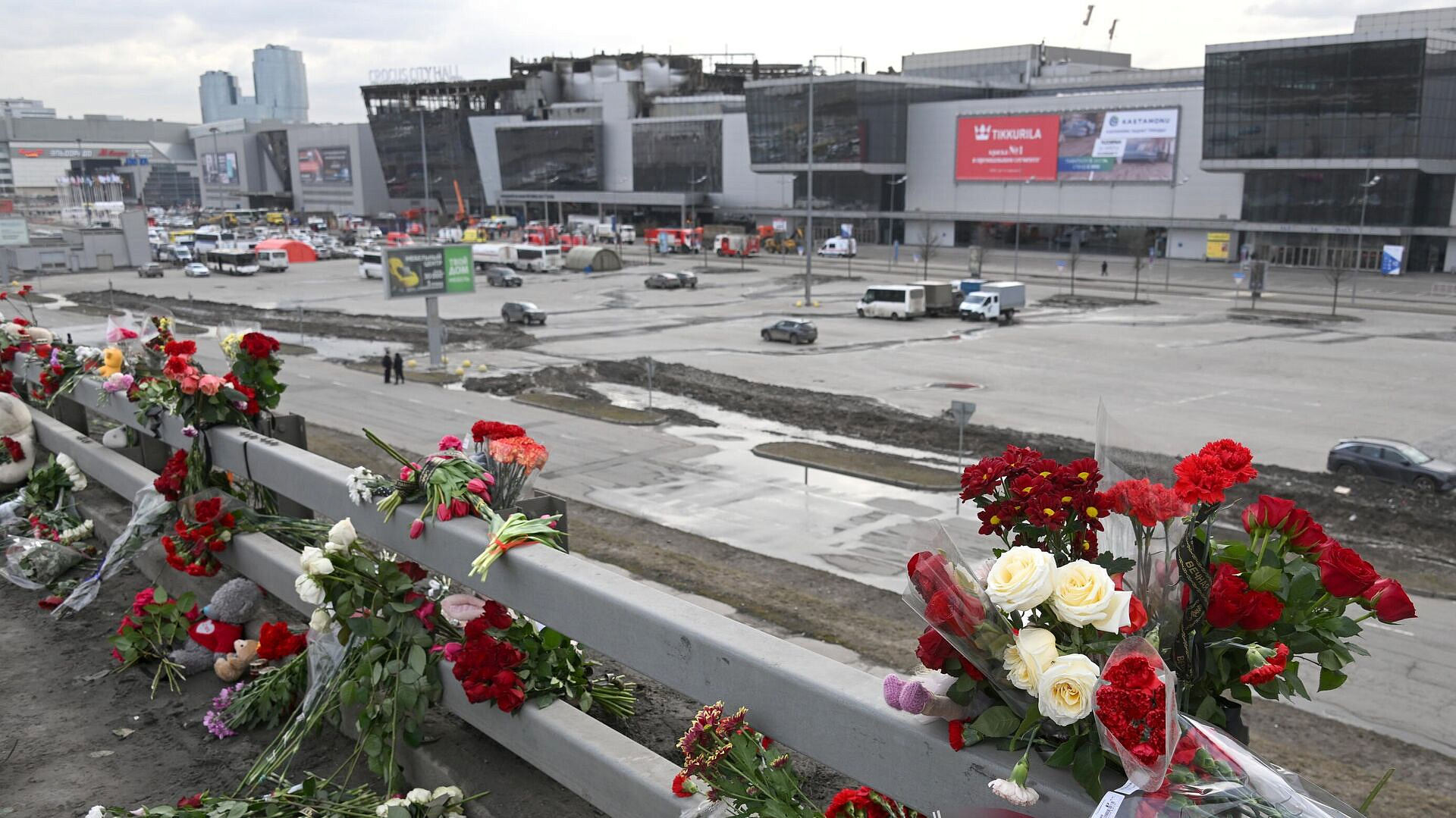 ���������-����� �� "�������" ���������� ������� �������� �� ����� ��������