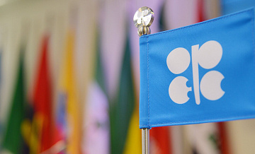 ОПЕК сохранила оценку роста нефтедобычи вне организации ОПЕК+ в 2026 году