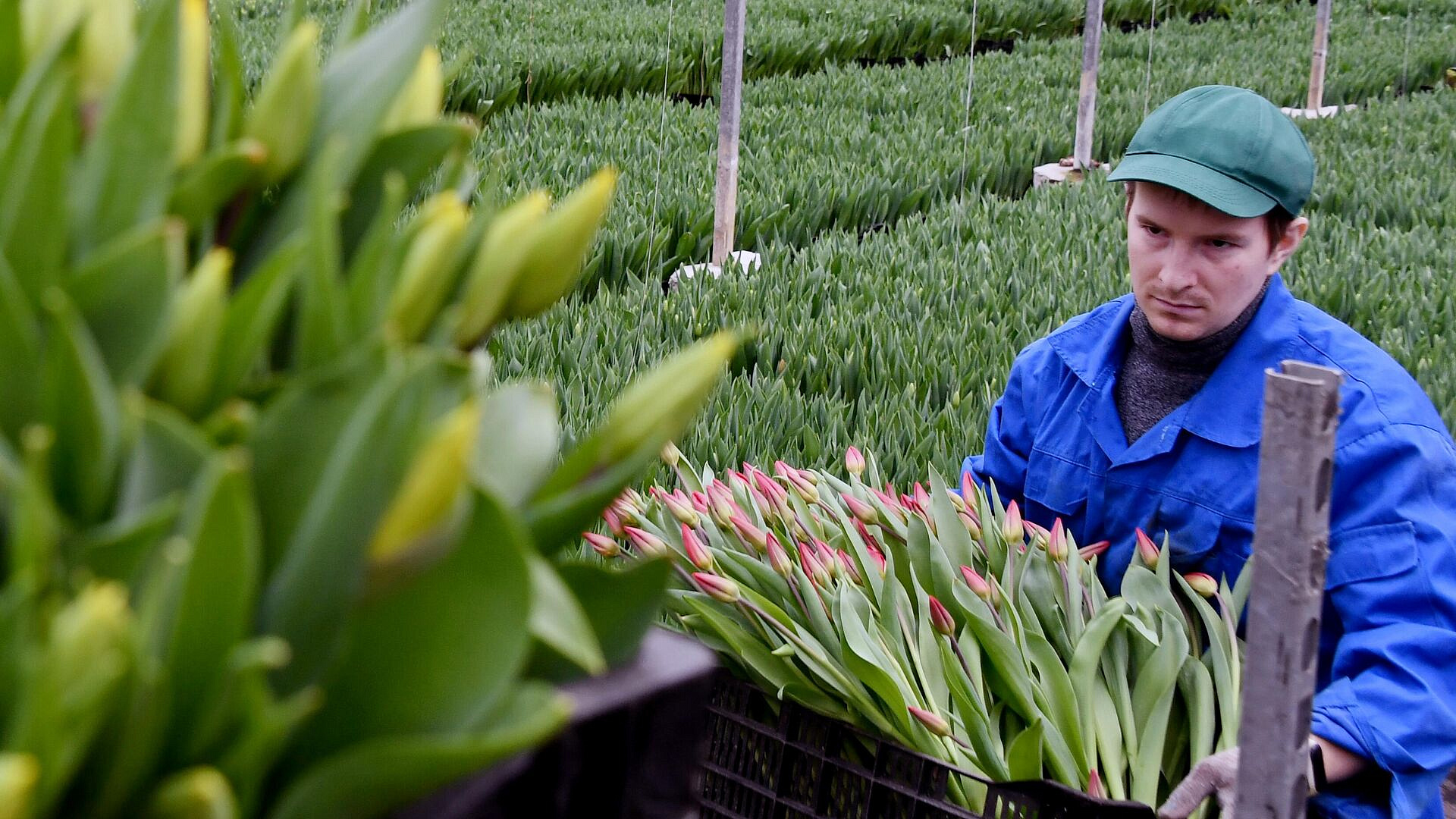 � ���� ���������� � ����������� �������������� ������