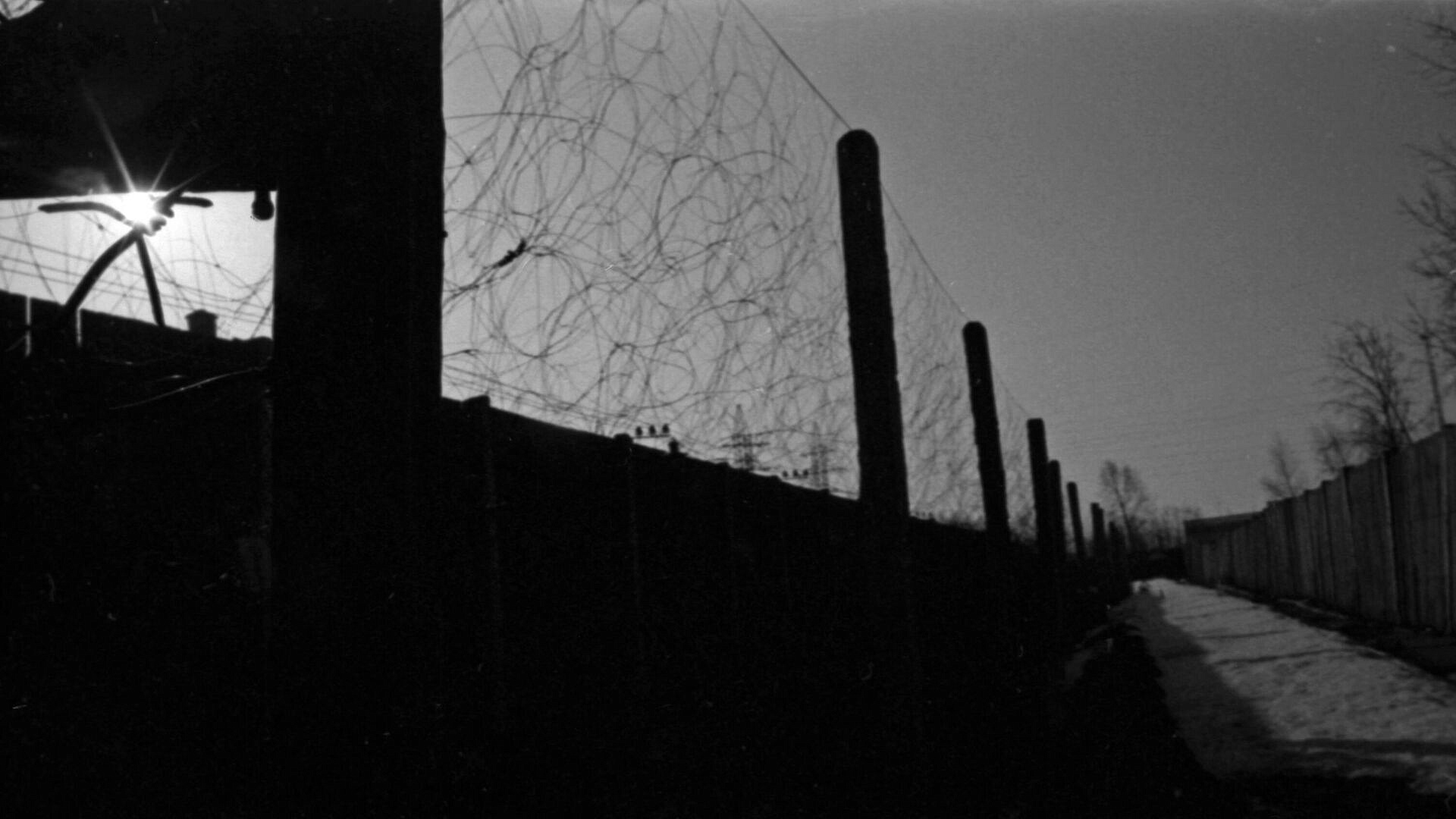 Суд в Мордовии вынес приговор уроженке Украины за покушение на госизмену