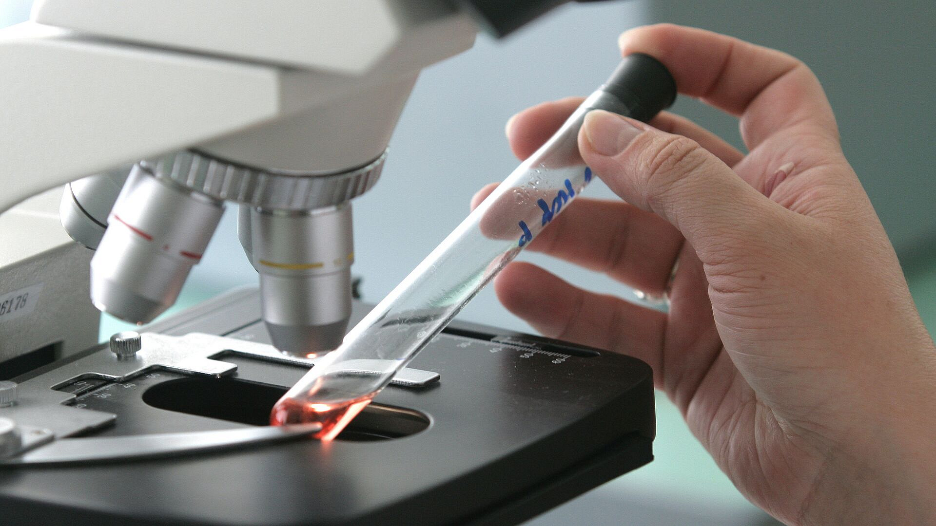 ��������������� ���������� ������������� ����� ������������ �������