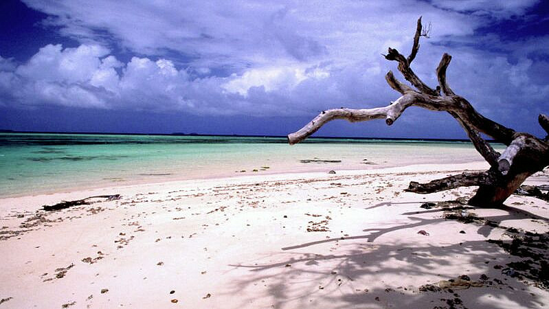 ���������� ������� ����� ������� ����� ���������, �������� Guardian