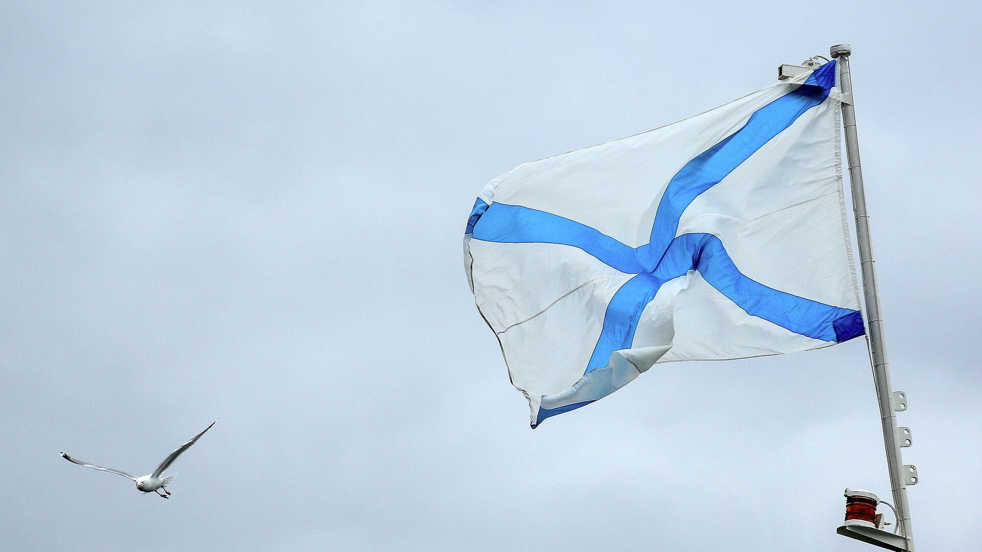 � ��������������� ������� �������� ��������� ������ �����������