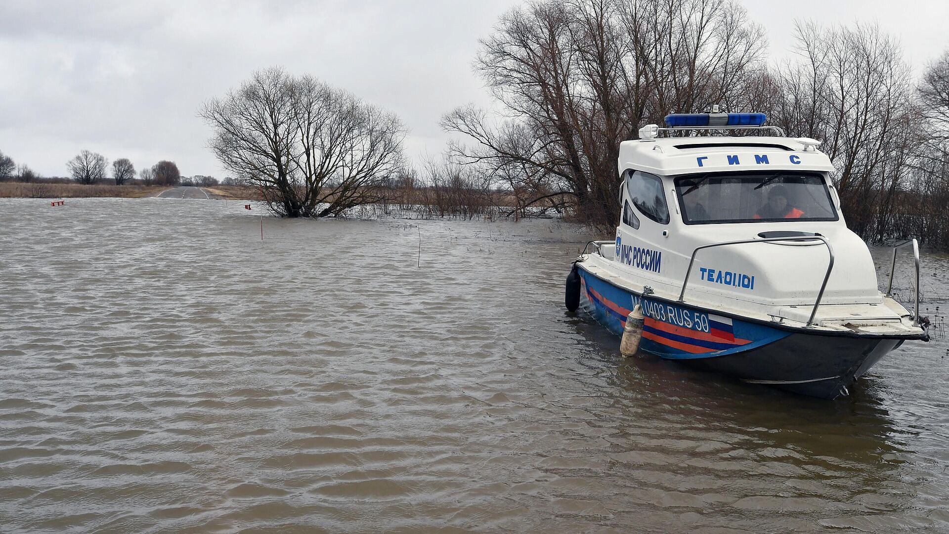 � ����������� ���� ������ ��������� ��������