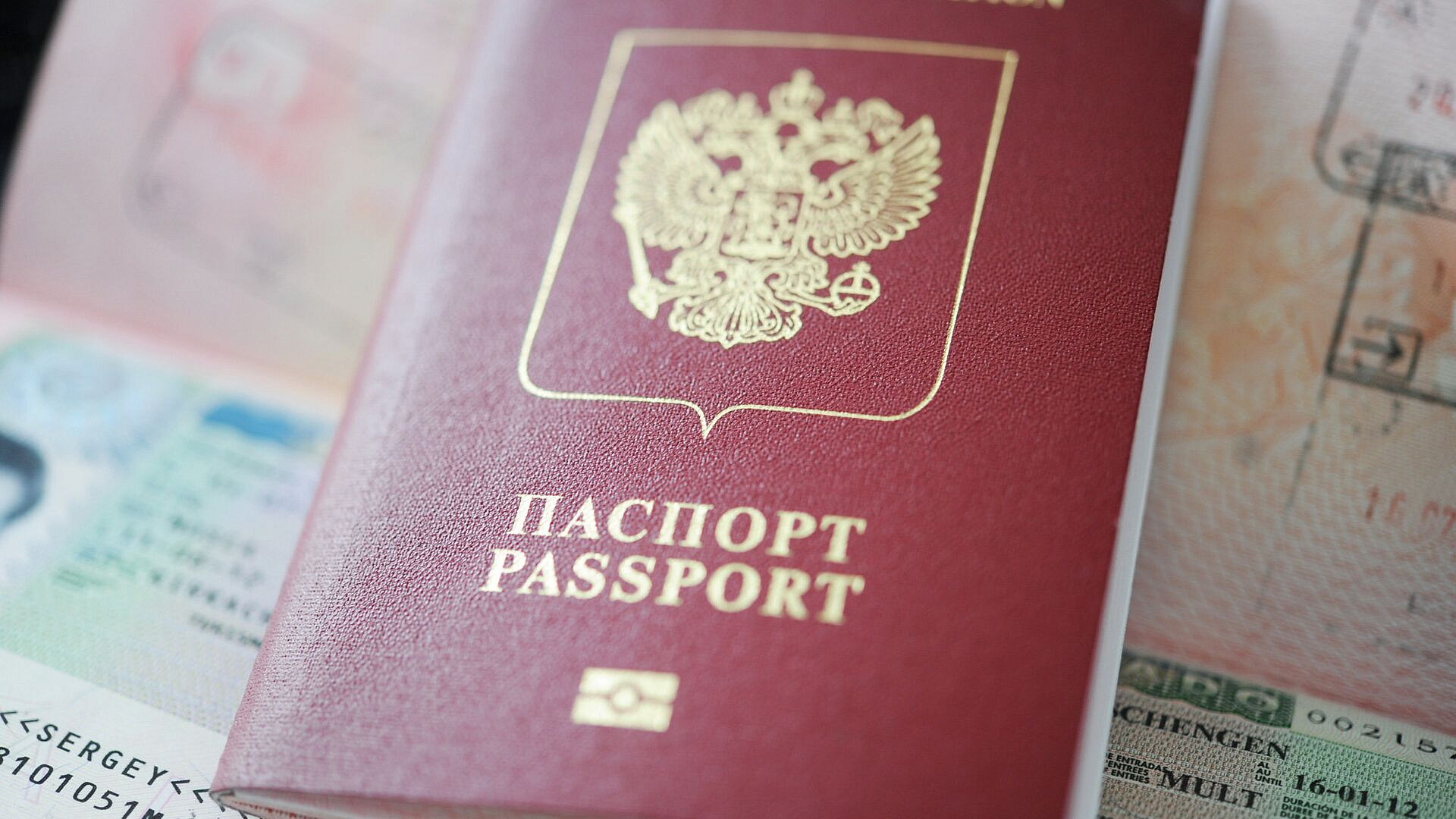 В ОП рассказали о схеме мошенничества с быстрым оформлением визы