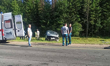 В Ленинградской области один человек погиб в ДТП с микроавтобусом