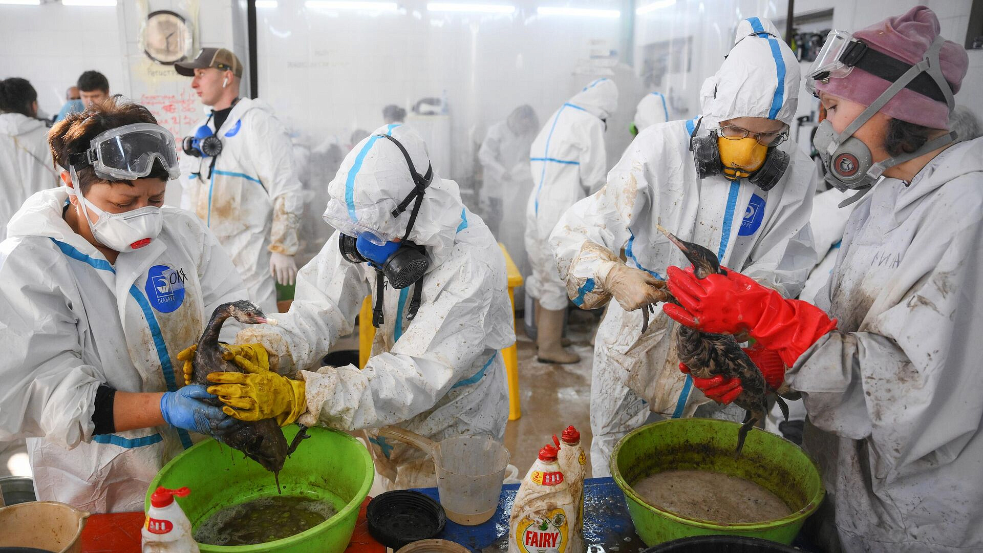 В Госдуму внесли проект о поощрении волонтеров ЧС в Керченском проливе