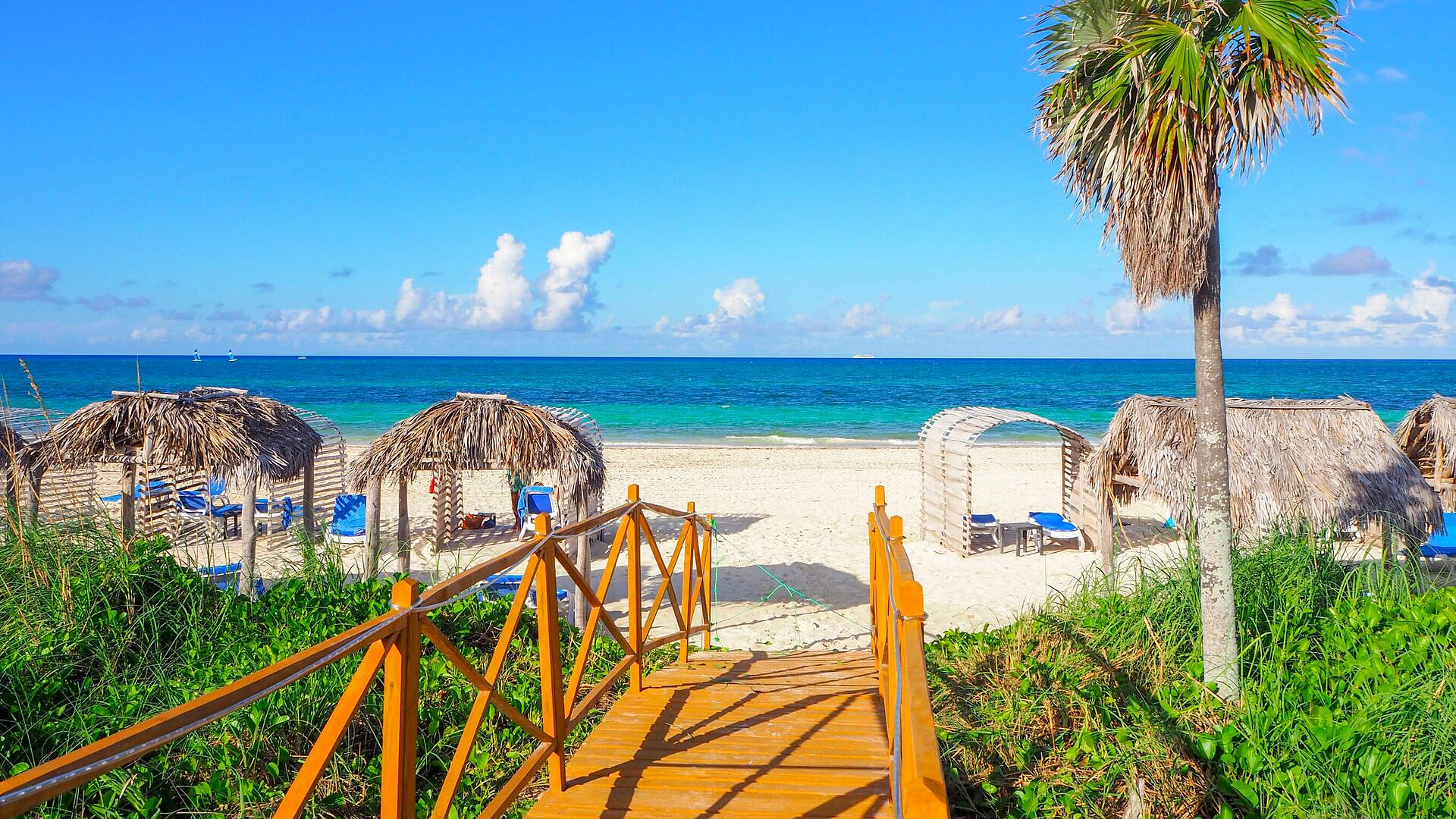 ���� �������� ��� ����������� ������������ ��� ���������� ��������