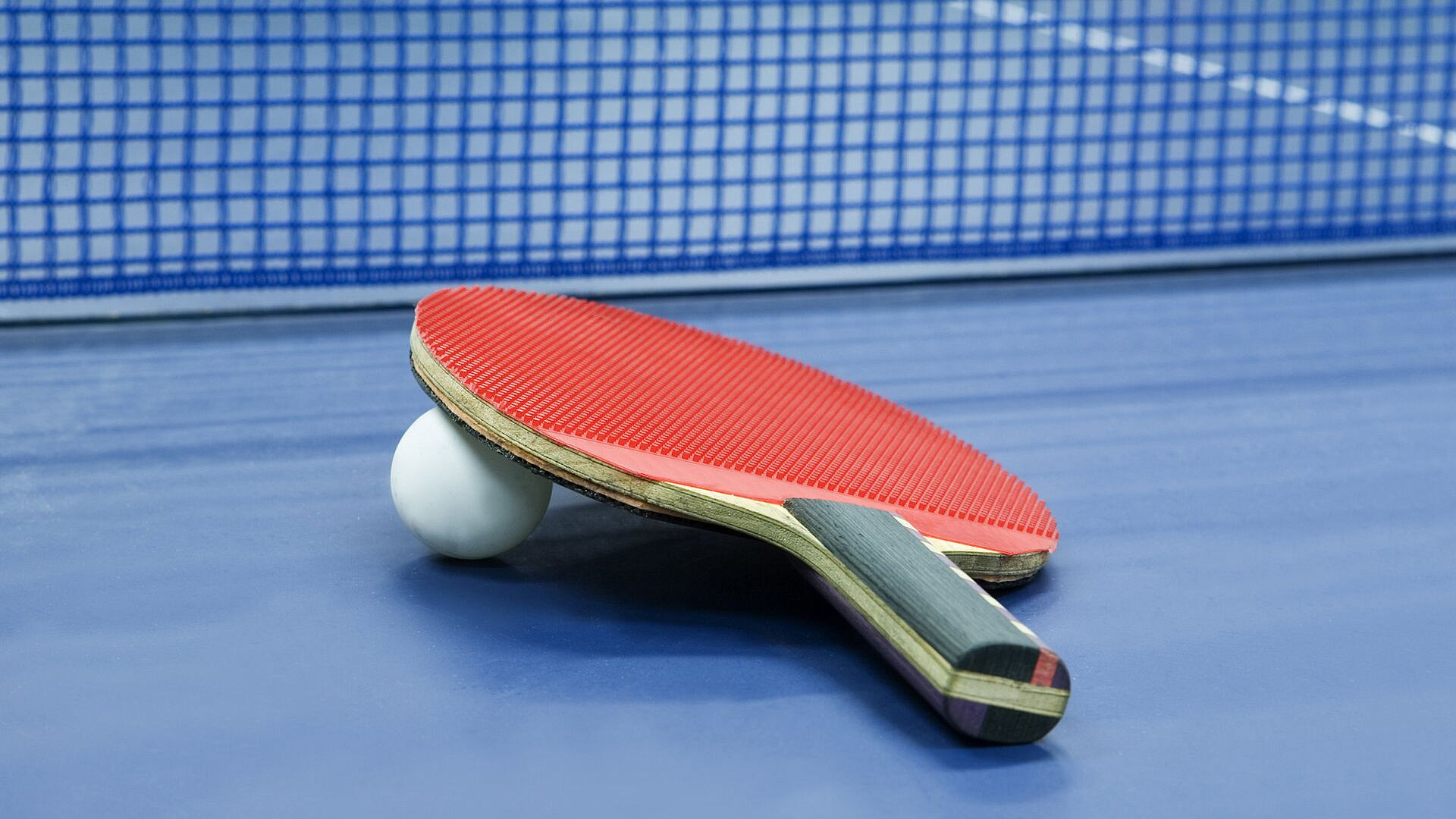 Абраамян поднялась на 58 позиций в рейтинге после победы на WTT Contender