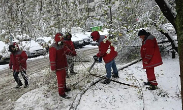 Городские службы Москвы продолжают ликвидировать последствия непогоды