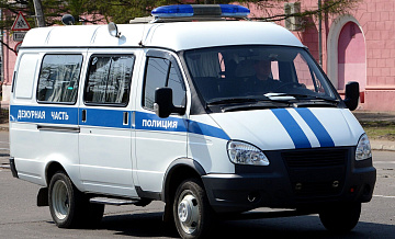 В Приморье в ДТП с лошадью погиб пассажир