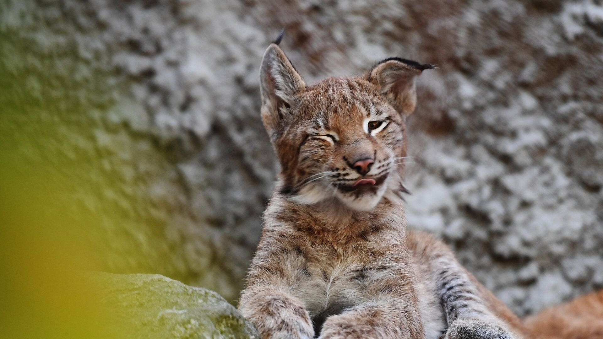 � ��������� �� ����� ����� ��������� �������� �����