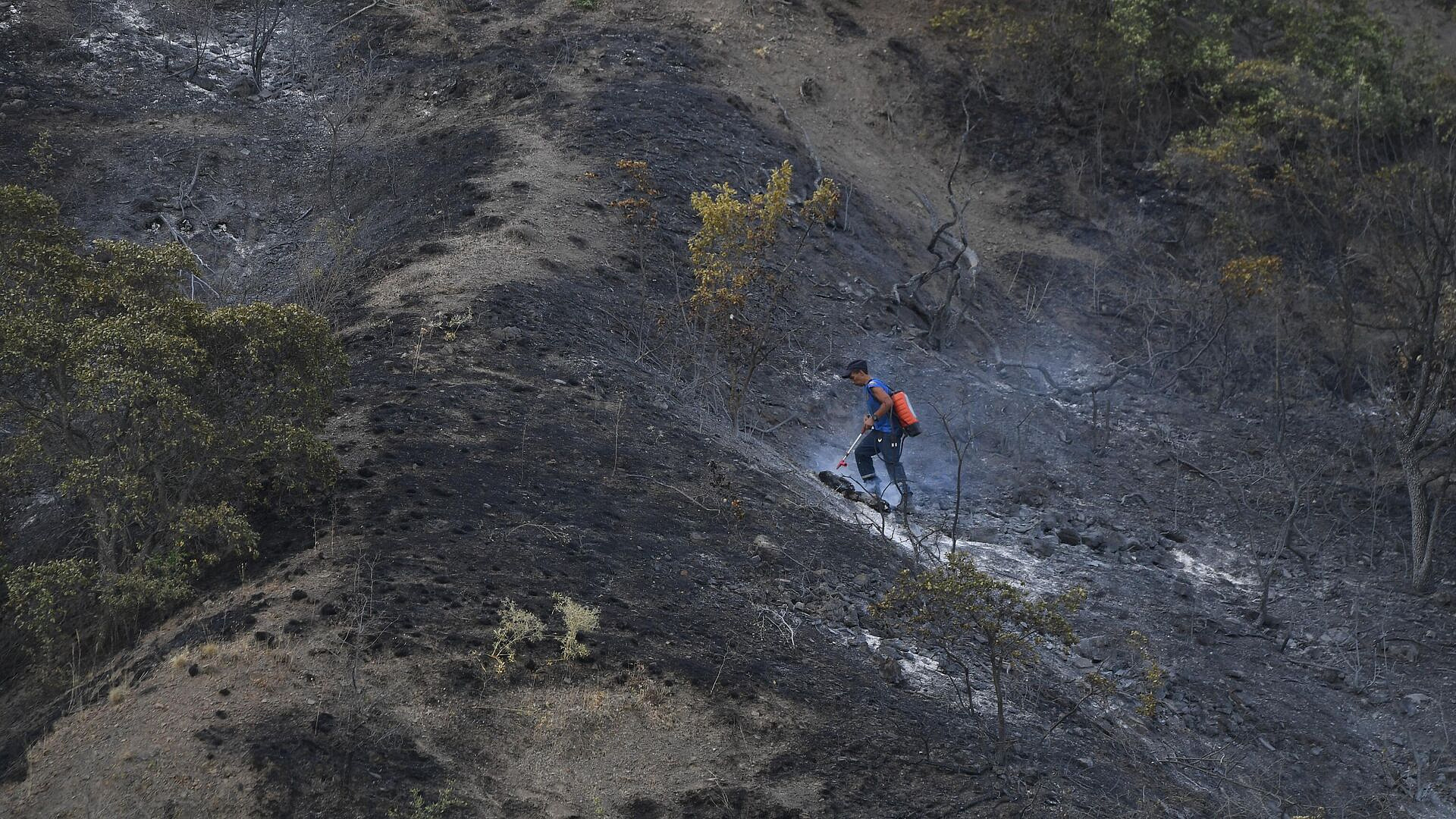 В Крыму под Судаком потушили открытый огонь в лесной местности