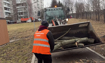 Власти Москвы сообщили о ликвидации последствий ураганного ветра