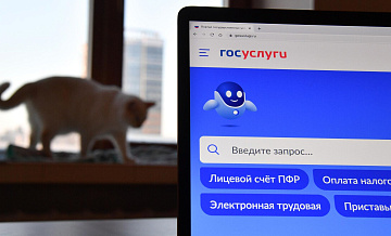 Мошенники используют новую схему получения доступа к "Госуслугам" россиян