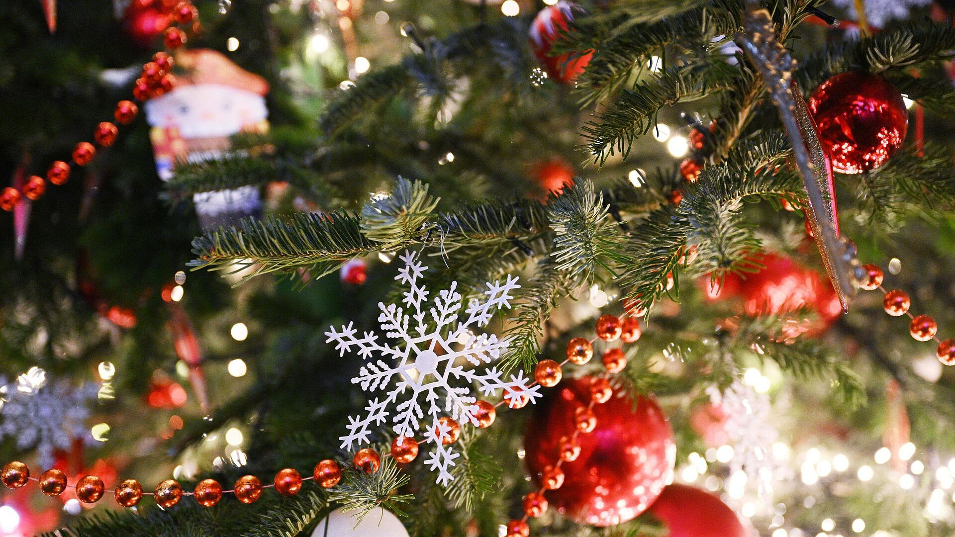 Дед Мороз из Великого Устюга рассказал, когда лучше всего наряжать елку