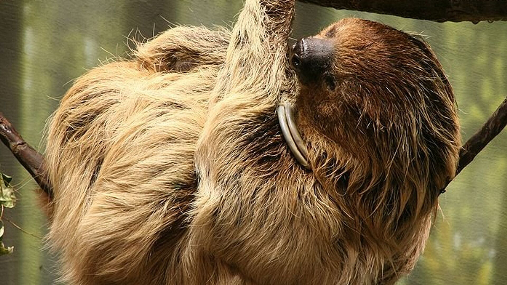 � ������������� �������� ������� ������� �������