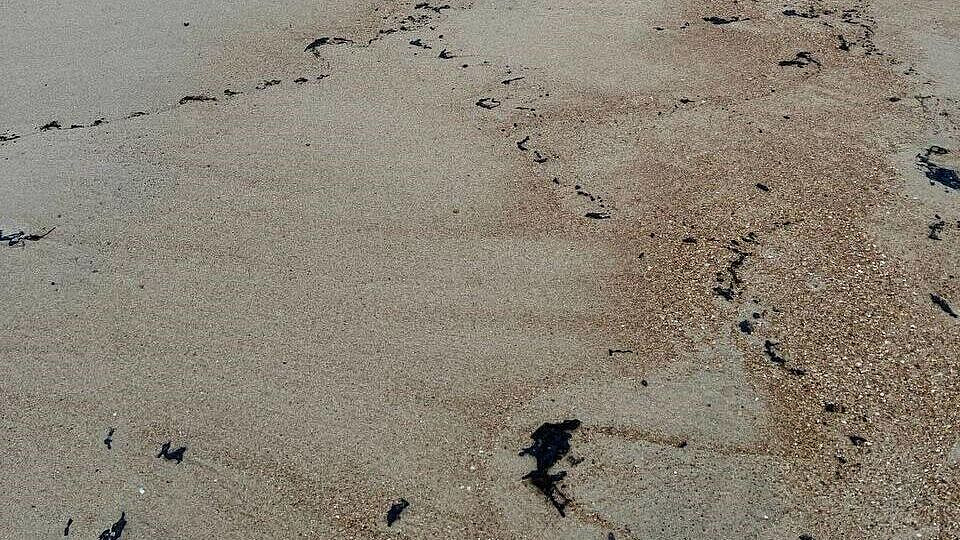 В Анапе установят биобоны для очистки воды от мазута