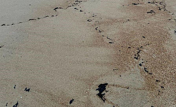 В Анапе установят биобоны для очистки воды от мазута