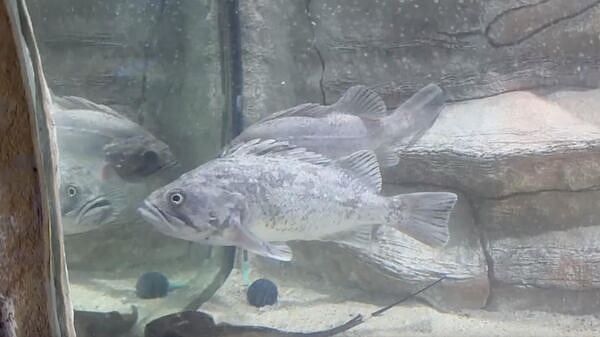 ������ ������� ������� �������� �������, �� �������� �������� ����� � �����